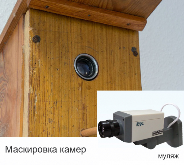 Видеодомофон для дачи: схема, нюансы установки, минимальный набор, комплектация - комфорт, беспроводные системы, дополнительное оборудование