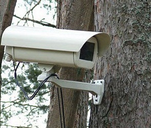 Наказан производитель IP-камер, установка систем в Подмосковье, новые камеры с аналитиком