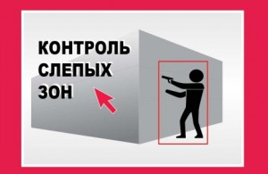 Камеры могут запечатлеть много интересного